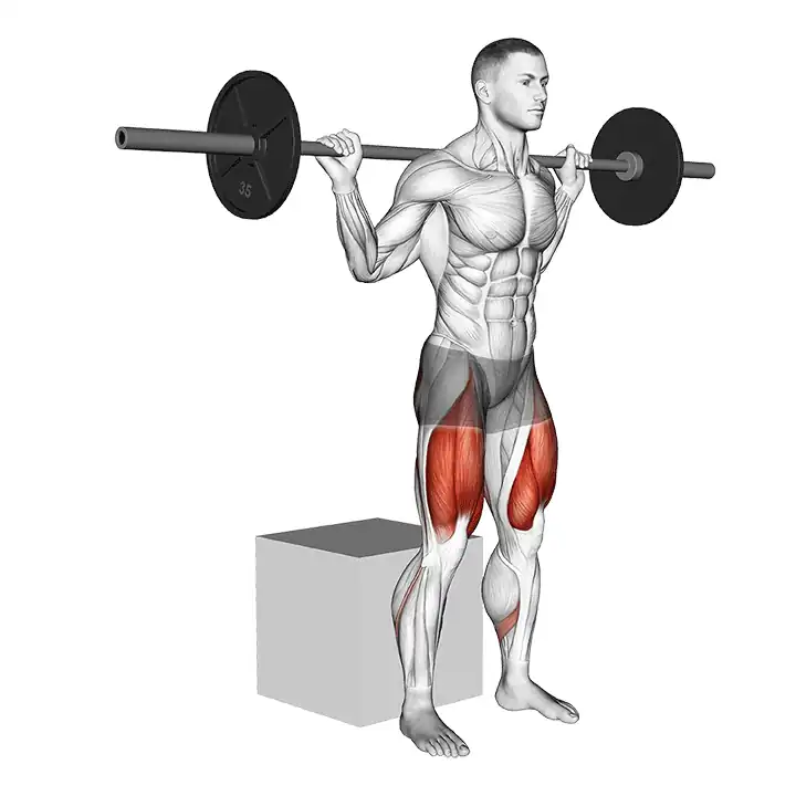 Box squat barre