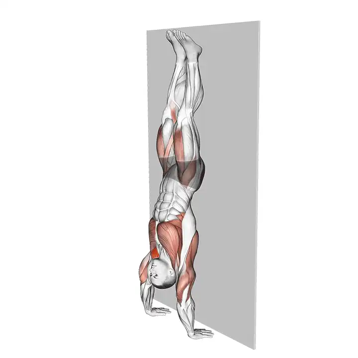 Handstand push up kipping