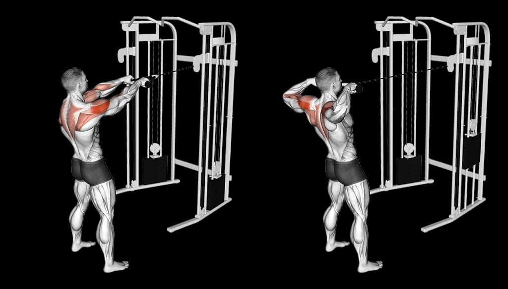 Facepull
