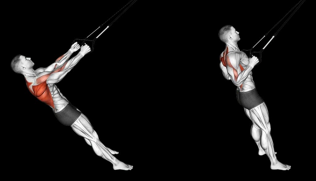 Rowing suspendu avec TRX